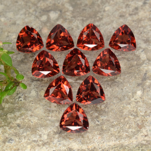 Bright Red Pyrop-Granat Edelstein - 0.3ct Trillantschliff (ID: 479341)