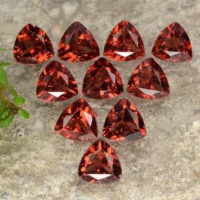 3.00 ctw Red Pyrope Garnet Stones, Natural Pyrope Garnet in Trillion Facet Shape for Sale
