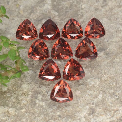 Scarlet Red Granato piropo Gem - 0.3ct Sfaccettatura trilliant (ID: 479347)