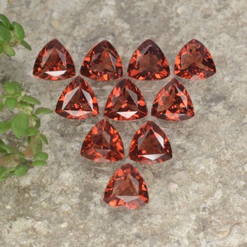 Brique rouge Grenat Pyrope gemme - 0.3ct Facette trillion (ID: 479348)
