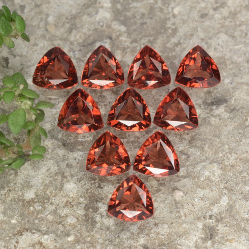 Medium Red Pyrope Garnet Gem - 0.3ct Trillion Facet (ID: 479349)
