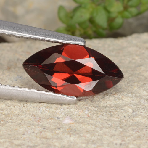 Deep Red Pyrope Garnet Gem - 1.5ct Marquise Facet (ID: 479382)