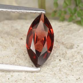 1.3ct Marquise Facet Red Pyrope Garnet Gem for sale 1.3ct Marquise Facet Red Pyrope Garnet Gem (ID: 479570)