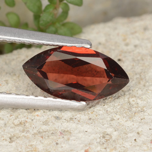 Deep Red Pyrope Garnet Gem - 1.2ct Marquise Facet (ID: 479577)