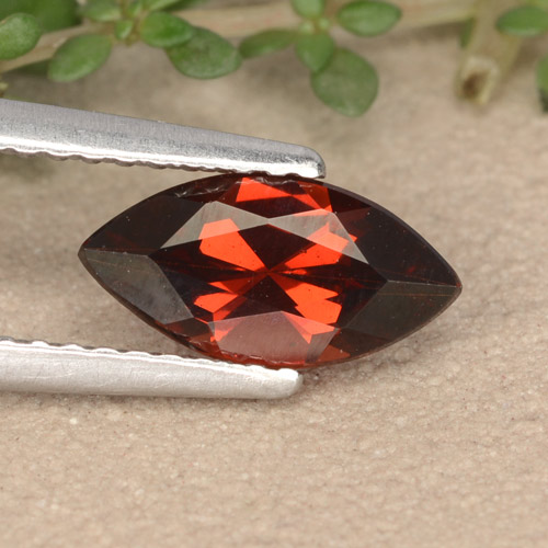 Rojo oscuro Granate Piropo Gema - 1.2ct Forma marquesa (ID: 479651)