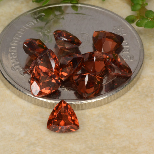 Scarlet Red Pyrop-Granat Edelstein - 0.3ct Trillantschliff (ID: 479744)