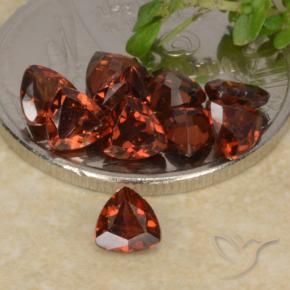 2.81 ctw Red Pyrope Garnet Stones, Natural Pyrope Garnet in Trillion Facet Shape for Sale