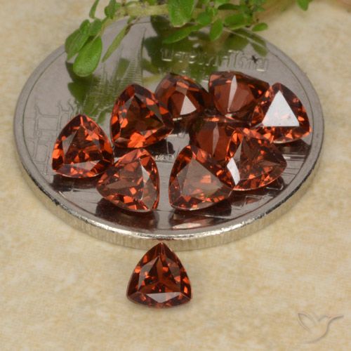 2.91ctw Natural Deep Red Pyrope Garnet, Trillion, VS