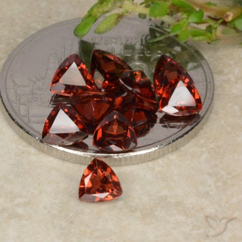 0.3ct Trillion Facet Red Pyrope Garnet for sale thumb image of 0.3ct Trillion Facet Red Pyrope Garnet (ID: 479757)