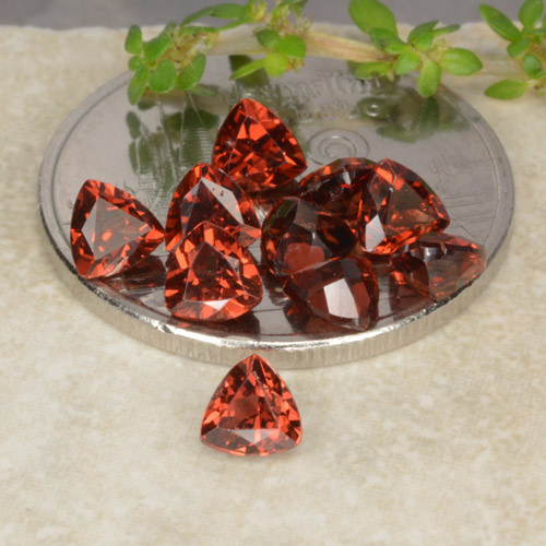 Lote de 10 piezas de Granate Piropo Rojo medio Trillón de Mozambique - Peso 3,13 ct en total / promedio. 0,31 ct cada uno, Tamaño 4 x 4mm, Color: Rojo medio, Dureza Mohs 6.5 - 7.5 Adecuado para joyas de uso diario, Photo A