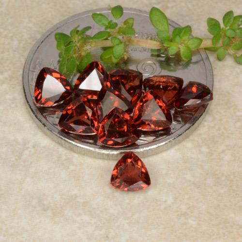 Rojo oscuro Granate Piropo Gema - 0.3ct Forma trillón (ID: 479760)