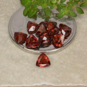 Rosso scuro Granato piropo Gem - 0.3ct Sfaccettatura trilliant (ID: 479762)