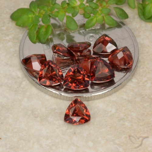3.16 ctw Red Pyrope Garnet Gemstones, Pyrope Garnet Gems in Trillion Facet Shape for Sale.