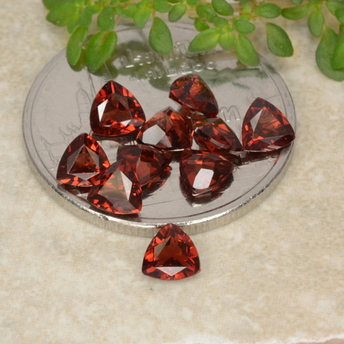 Dark Red Pyrope Garnet Gem - 0.3ct Trillion Facet (ID: 479764)