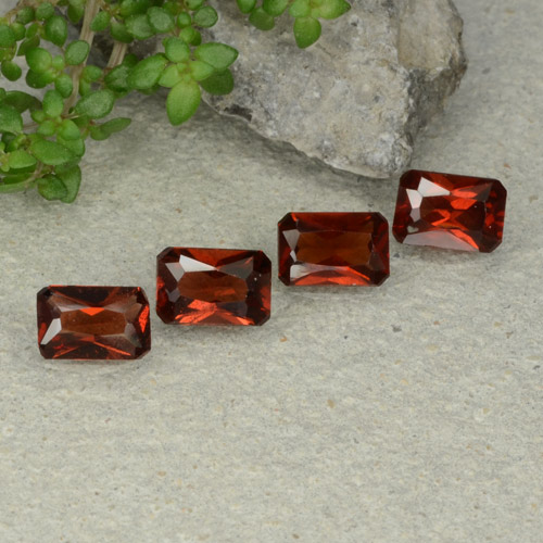 Dark Red Pyrope Garnet Gem - 0.6ct Octagon / Scissor Cut (ID: 480751)