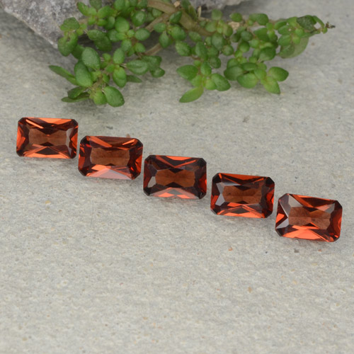 Deep Red Pyrope Garnet Gem - 0.6ct Octagon / Scissor Cut (ID: 480757)