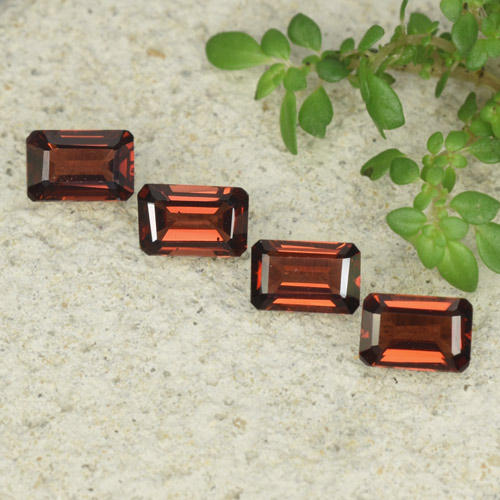Sangria Red Pyrope Garnet Gem - 0.7ct Octagon Step Cut (ID: 480918)