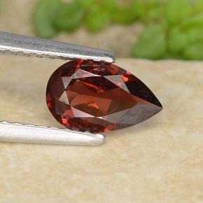 0.8ct Pear Facet Red Pyrope Garnet for sale thumb image of 0.8ct Pear Facet Red Pyrope Garnet (ID: 487319)