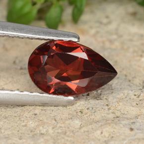 Deep Red Pyrope Garnet Gem - 1ct Pear Facet (ID: 487657)