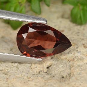 0.9ct Pear Facet Red Pyrope Garnet Gem for sale 0.9ct Pear Facet Red Pyrope Garnet Gem (ID: 487662)