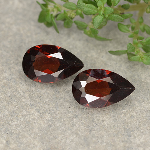 Blackish Red Pyrope Garnet Gem - 0.9ct Pear Facet (ID: 487963)