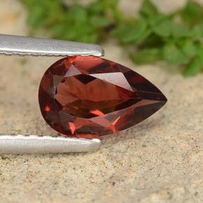 Dark Red Pyrope Garnet Gem - 1ct Pear Facet (ID: 488022)