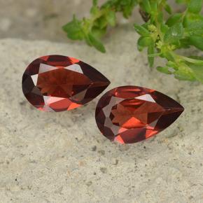 Deep Red Pyrope Garnet Gem - 0.9ct Pear Facet (ID: 488089)