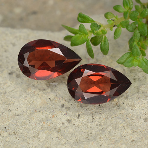 Dark Red Pyrope Garnet Gem - 0.9ct Pear Facet (ID: 488096)