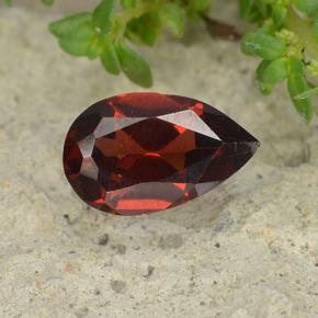 Deep Red Pyrope Garnet Gem - 0.9ct Pear Facet (ID: 488142)