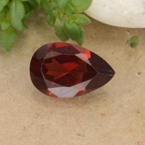 Medium Red Pyrope Garnet Gem - 1ct Pear Facet (ID: 488267)