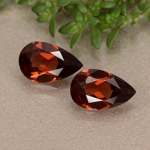 Dark Red Pyrope Garnet Gem - 0.9ct Pear Facet (ID: 488472)