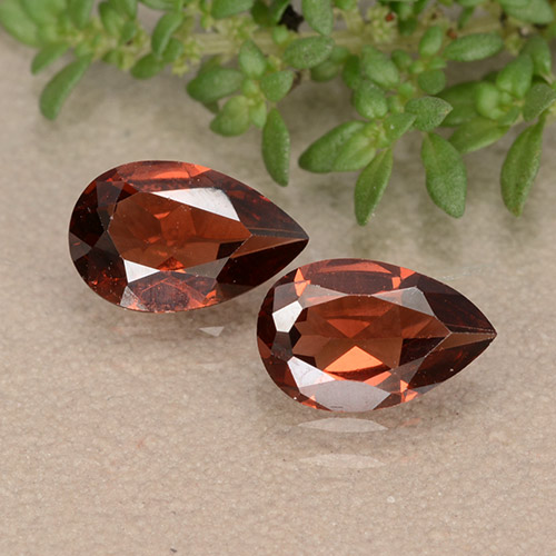 Deep Red Pyrope Garnet Gem - 0.9ct Pear Facet (ID: 488476)