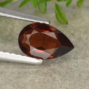 0.8ct Pear Facet Red Pyrope Garnet Gem for sale 0.8ct Pear Facet Red Pyrope Garnet Gem (ID: 488747)