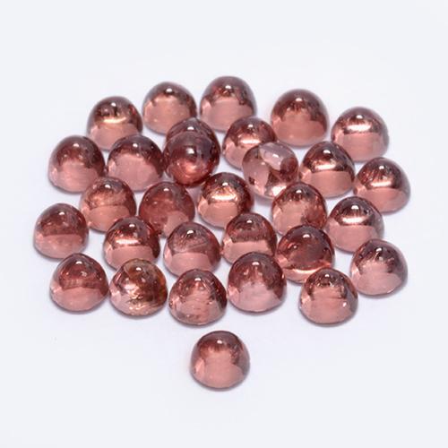 0.1ct Round Cabochon Red Pyrope Garnet Gem for sale 0.1ct Round Cabochon Red Pyrope Garnet Gem (ID: 494753)