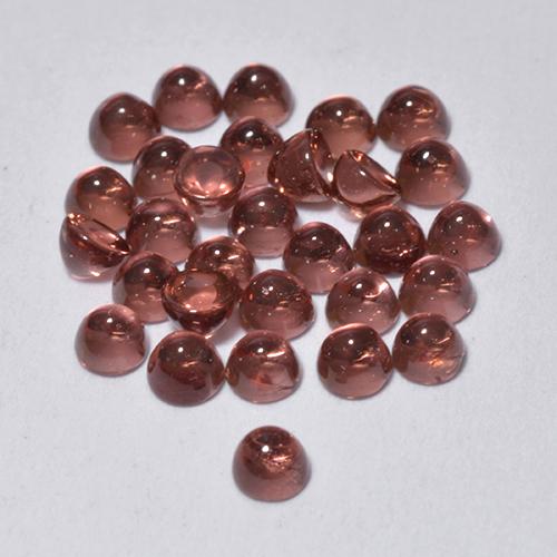 Wine Red Гранат Пироп Камень - 0.1ct Круглый Кабошон (ID: 494755)