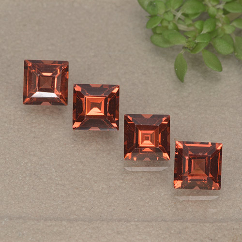 Medium Red Granato piropo Gem - 0.5ct Taglio graduale quadrato (ID: 497541)