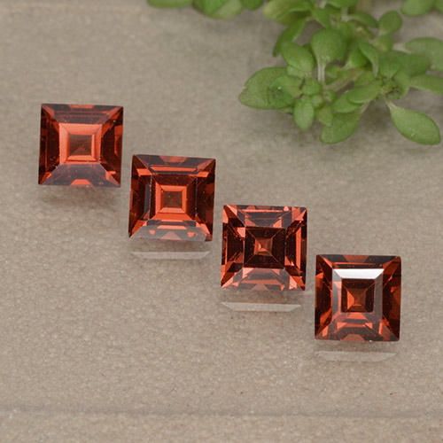 dunkelrot Pyrop-Granat Edelstein - 0.5ct Caree Stufenschliff (ID: 497546)