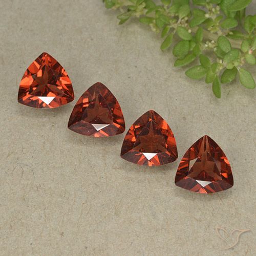 Medium Red Granato piropo Gem - 0.8ct Sfaccettatura trilliant (ID: 498794)