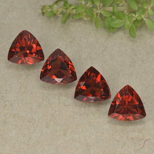 3.33ctw Natural Merlot Red Pyrope Garnet, Trillion, VVS-VS