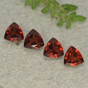 0.8ct Trillion Facet Red Pyrope Garnet Gem for sale 0.8ct Trillion Facet Red Pyrope Garnet Gem (ID: 498916)