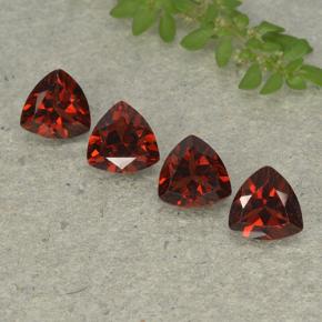 Merlot Red Granato piropo Gem - 0.9ct Sfaccettatura trilliant (ID: 498917)
