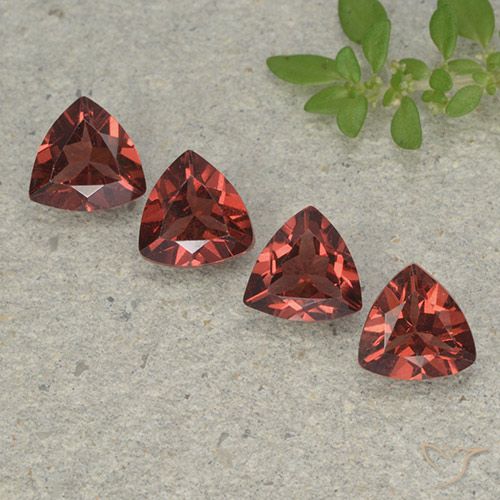 3.25ctw Natural Medium-Dark Red Pyrope Garnet, Trillion, VVS-VS