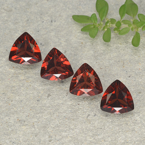 Merlot Red Гранат Пироп Камень - 0.8ct Огранка Триллион Фасетная (ID: 498923)