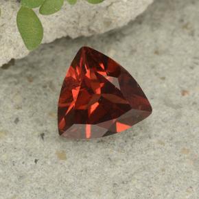 0.8ct Trillion Facet Red Pyrope Garnet Gem for sale 0.8ct Trillion Facet Red Pyrope Garnet Gem (ID: 499030)