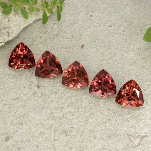 Scarlet Red Гранат Пироп Камень - 0.9ct Огранка Триллион Фасетная (ID: 499033)