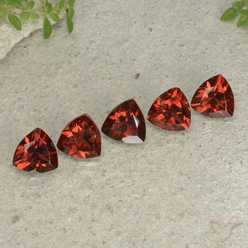 Currant Red Гранат Пироп Камень - 1ct Огранка Триллион Фасетная (ID: 499034)