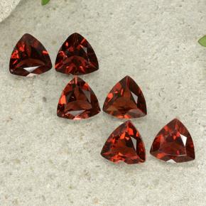 tiefrot Pyrop-Granat Edelstein - 0.8ct Trillantschliff (ID: 499036)