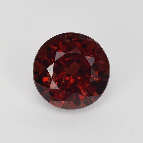Deep Red Pyrope Garnet Gem - 1.7ct Round Facet (ID: 514705)