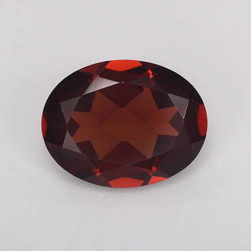 Dark Red Pyrope Garnet Gem - 1.9ct Oval Facet (ID: 516580)