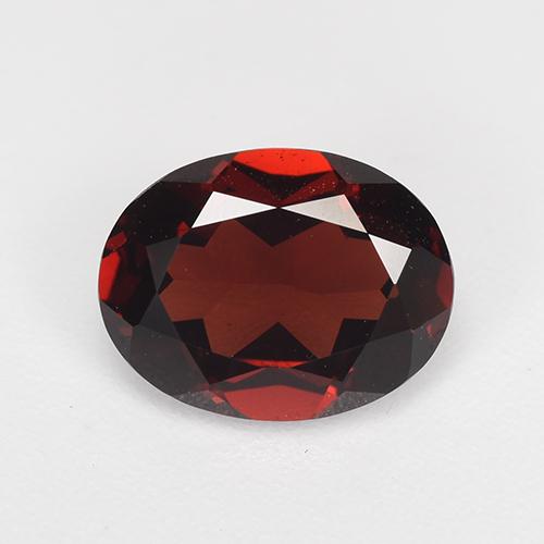 Deep Red Pyrope Garnet Gem - 2.2ct Oval Facet (ID: 520821)